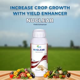 NUCLEAR - Best and Ultimate Yield Enhancer, Combination of Fulvic Acid, A.N.A Acid, S.N.P, NATCA, and Silicon Spreader 2