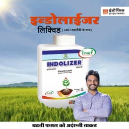 Indofil Indolizer Bioactive Nutrient, Boosts Plant Growth, Bio Stimulant Boost Plant Development 3