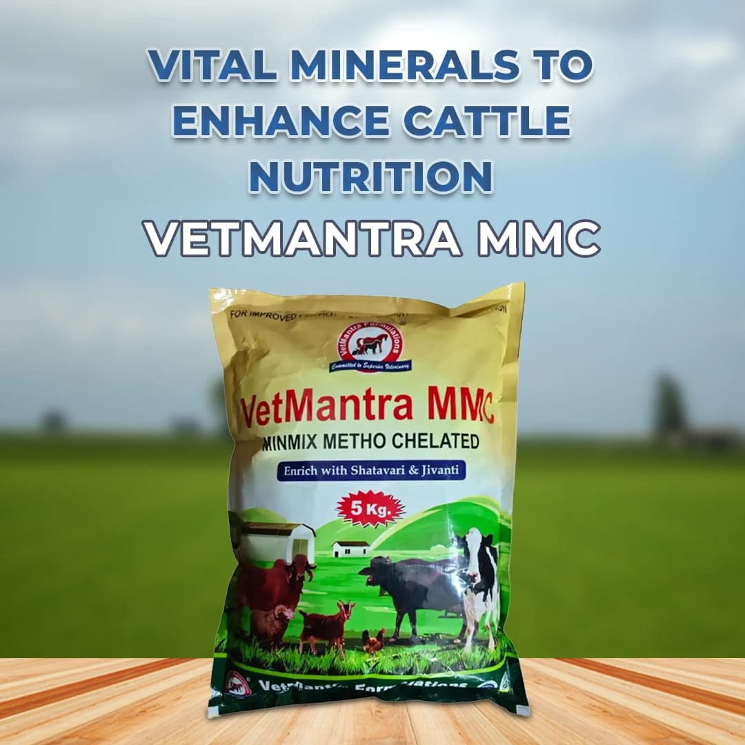 Vetmantra MMC Mineral Mixture - Image 2