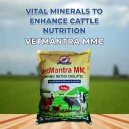 VetMantra MMC - Mineral Mixture For Higher Growth And Milk Production 2