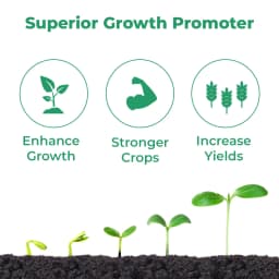 थाईला एन (नाइट्रोजन) यील्ड एन्हांसर - पत्तियों में क्लोरोफिल की मात्रा बढ़ाता है, जिससे फोटोसिंथेसिस की दर अधिक होती है। 3