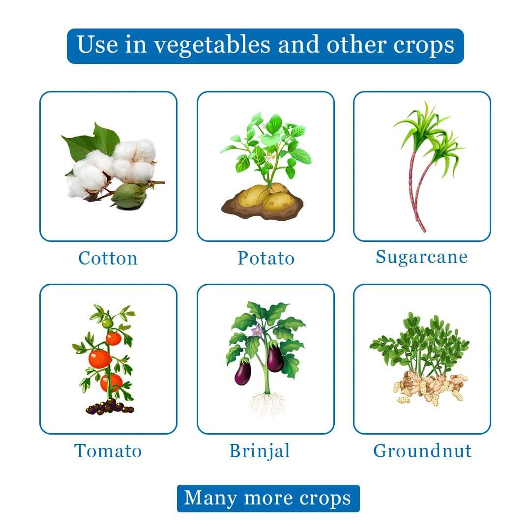 एफ500 - लार्विसाइड, सभी प्रकार के लार्वा, स्पोडोप्टेरा, हेलियोथिस, स्पॉटेड बॉलवर्म, पिंक बॉलवर्म, बैंगन लीफ माइनर, गन्ना बॉलवर्म, आदि के लिए - Image 4