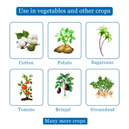 F500 - Larvicide, For Killing All Types of Larva, Spodoptera, Heliothis, Spotted Bollworm, Pink Ballworm, Brinjal Leaf Miner, Sugarcane Bollworm, etc 4