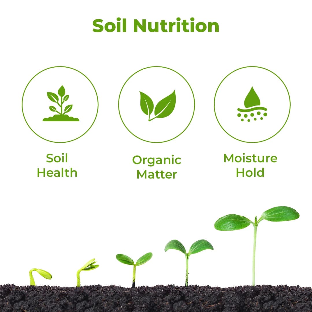 Gloryfert Green, 100 % Organic Manure Granules , Improve Physical, Chemical & Biological Properties Of Soil. - Image 3