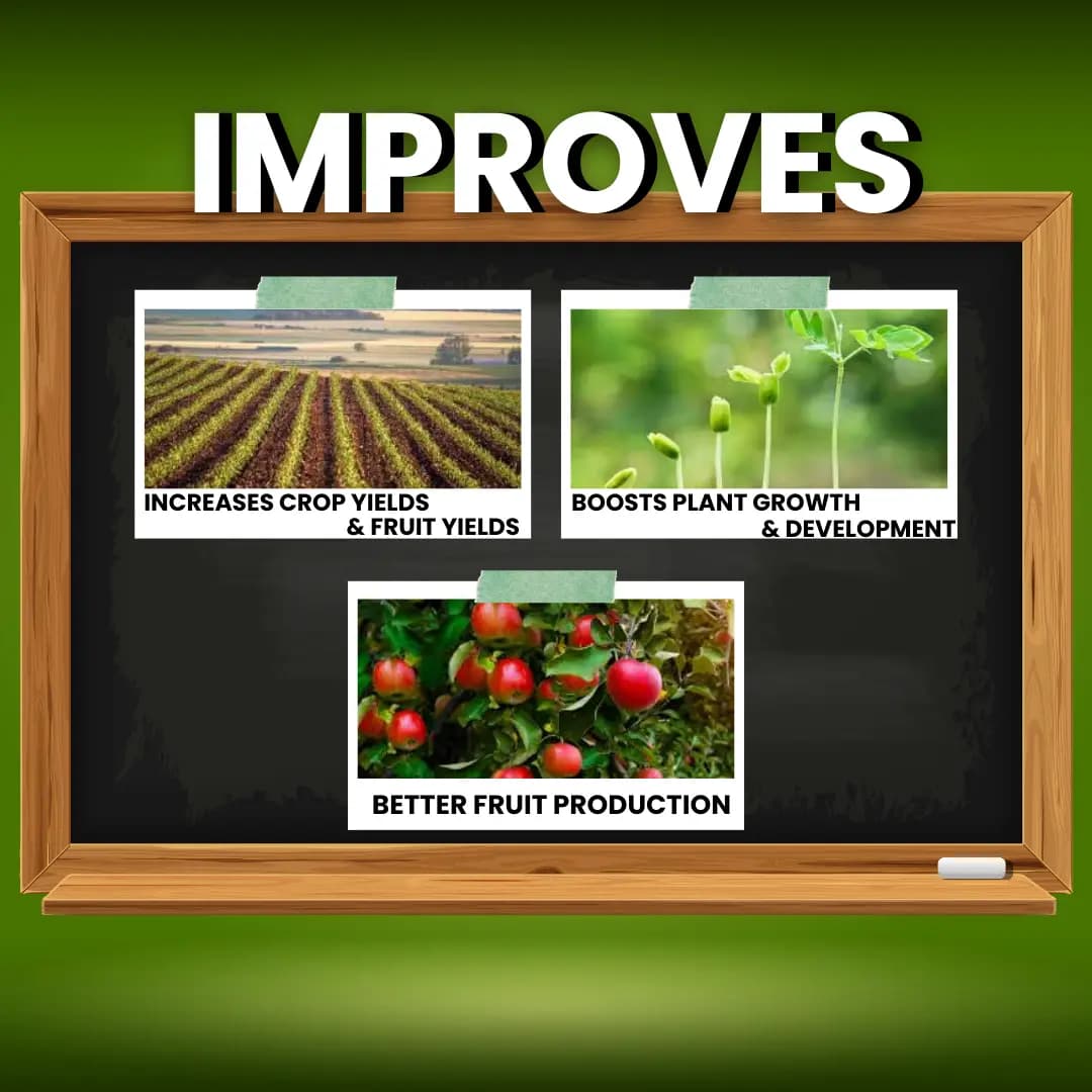 Katyayani Zinc Sulphate Monohydrate 33% Fertilizer Enhances Plant Growth and Development - Image 4