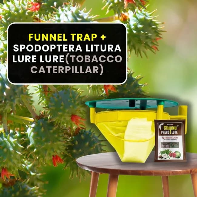 Chipk Pheromone Trap Funnel With Spodoptera Litura Lure For Brown Spotted & Tobacco Caterpillar, Useful In Cotton, Sunflower, Caster, Groundnut Crops. - Image 8