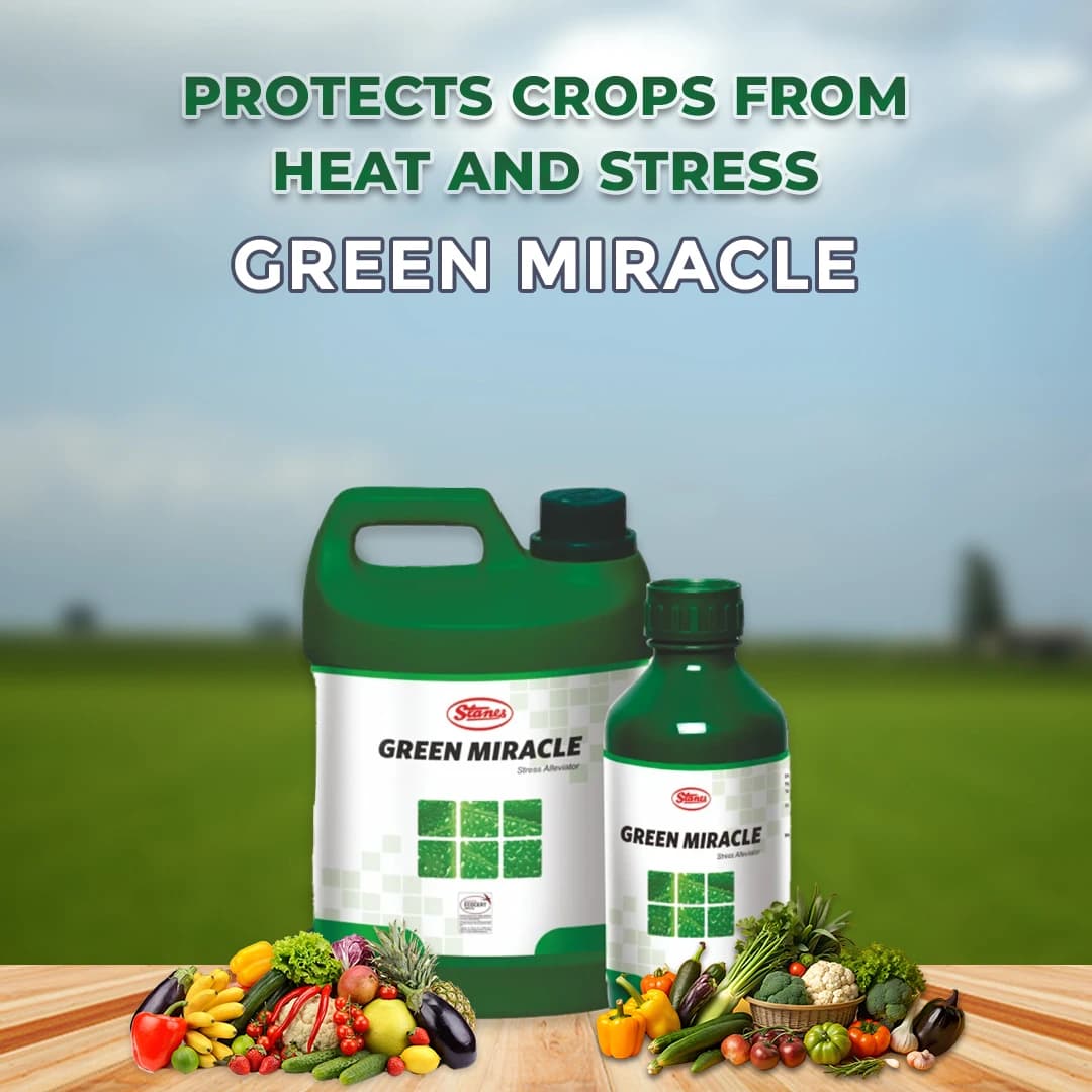 T.Stanes Green Miracle Fertilizer - Image 2