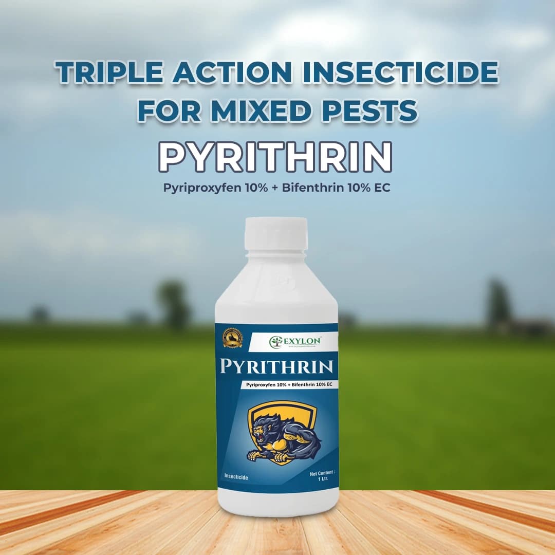 Exylon Pyrithrin Insecticide - Pyriproxyfen 10% + Bifenthrin 10% EC - Image 2