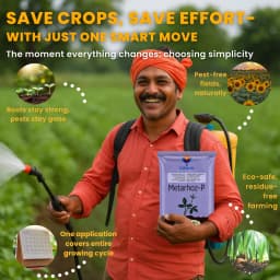 Utkarsh Metarhoz-P (Metarhizium Anisopliae 1% W.P.) Bio Pesticide, Controls Effective Pests and Improves Soil & Crop Health 5