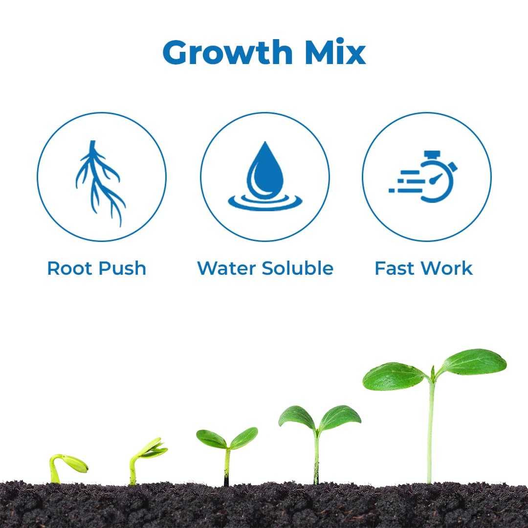 Mahadhan 13:40:13 - 100% Water Soluble Fertilizer - Image 3