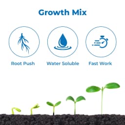 Mahadhan NPK 13:40:13, 100% Water Soluble Fertilizer, Balanced Vegetative Growth, Profuse Flowering And Fruiting 3