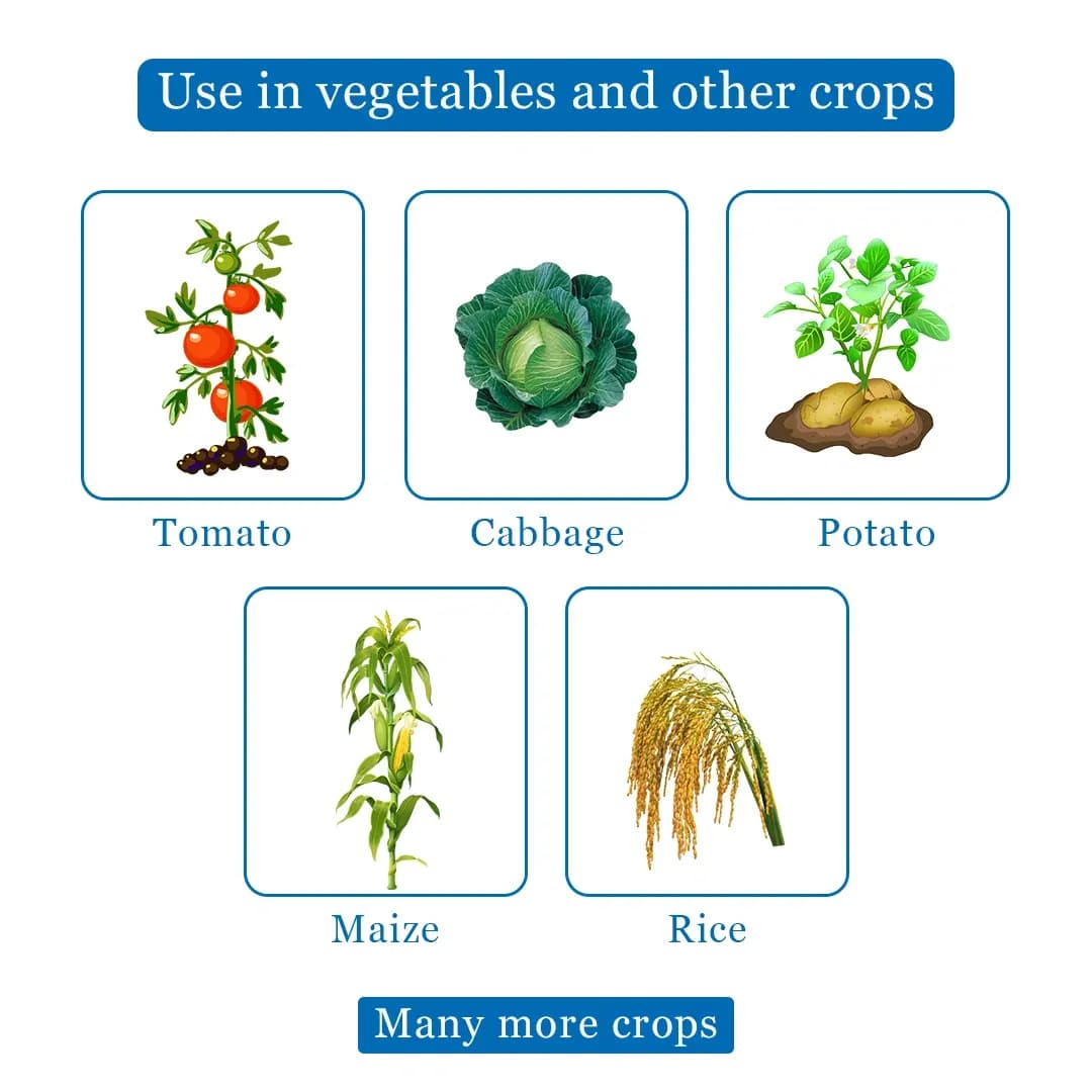 CUREAL Best Fungicide and Bactericide Zinc Based, Nontoxic and Eco-Friendly - Image 4