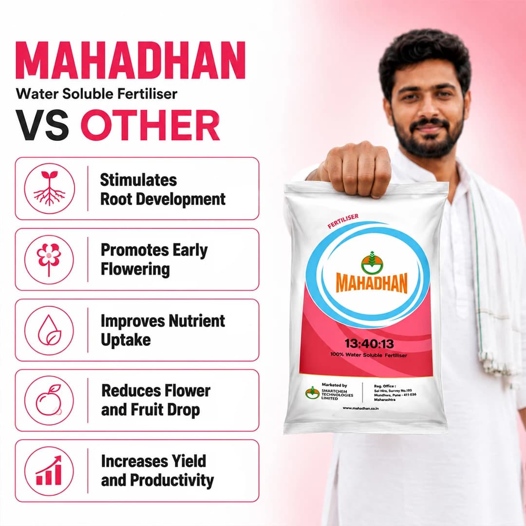 Mahadhan 13:40:13 - 100% Water Soluble Fertilizer - Image 6