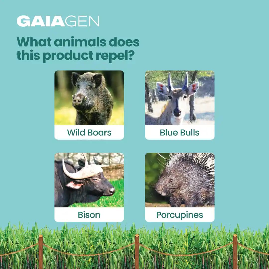 Gaiagen Neelbo Natural Formulation to Repel Wild Boars, Porcupines, Bison & Blue Bulls Without harming Them - Image 2
