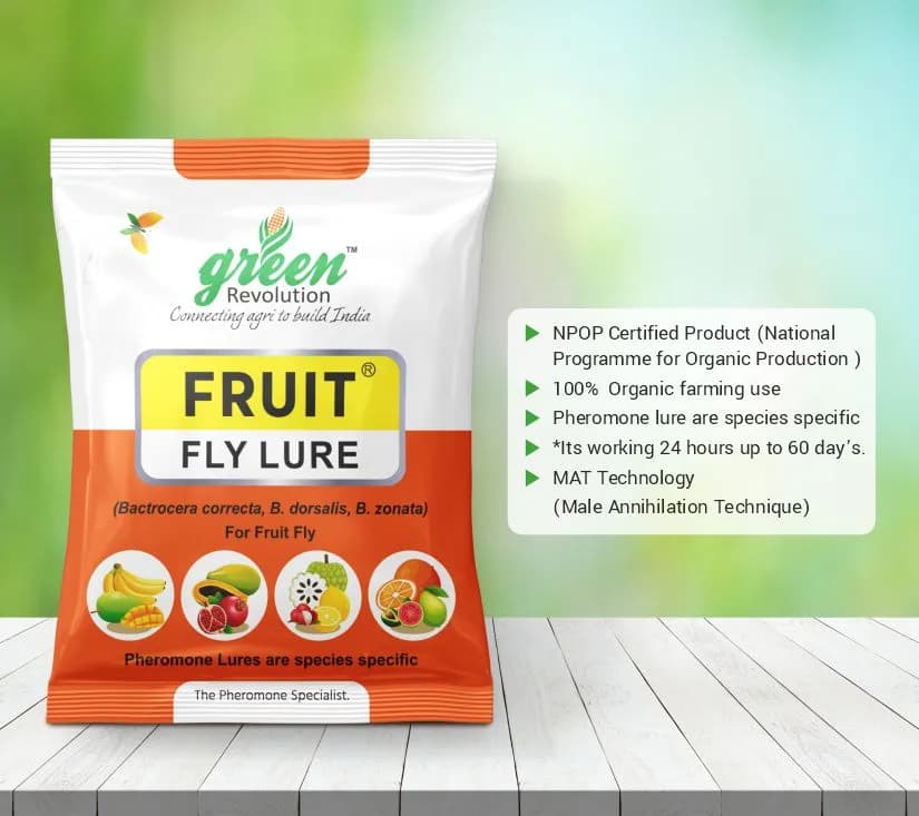 मैक्सप्लस ट्रैप, फ्रूट फ्लाई ल्यूर (बैक्ट्रोसेरा कोरेक्टा, ज़ोनटा, डोर्सालिसा फेरोमोन ल्यूर) आम, अमरूद, सपोटा, साइट्रस, केला और पपीता के लिए उपयोगी। - Image 6