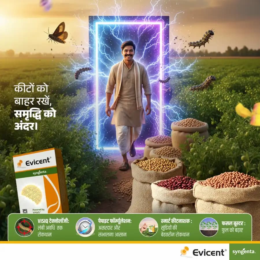 Syngenta Evicent Emamectin Benzoate 5% + Lufenuron 40% WG Insecticide, Effective For Lepidopteran, FAW, DBM, Helicoverpa Pests Control - Image 7