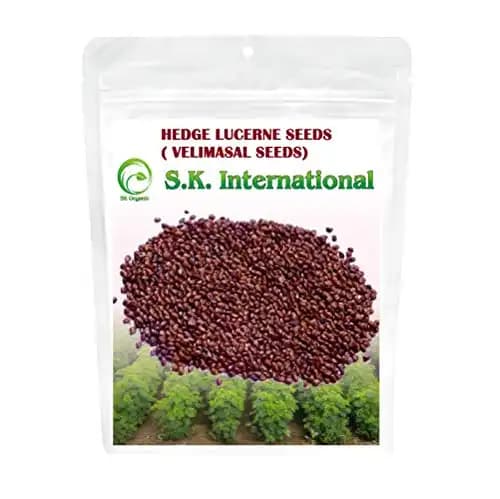 SK ORGANIC Combo Pack (Alfalfa Lucerne seeds 500 Gm + Hedge Lucerne Seeds 500 Gm) Velimasal-Dasrath Seeds - Image 3