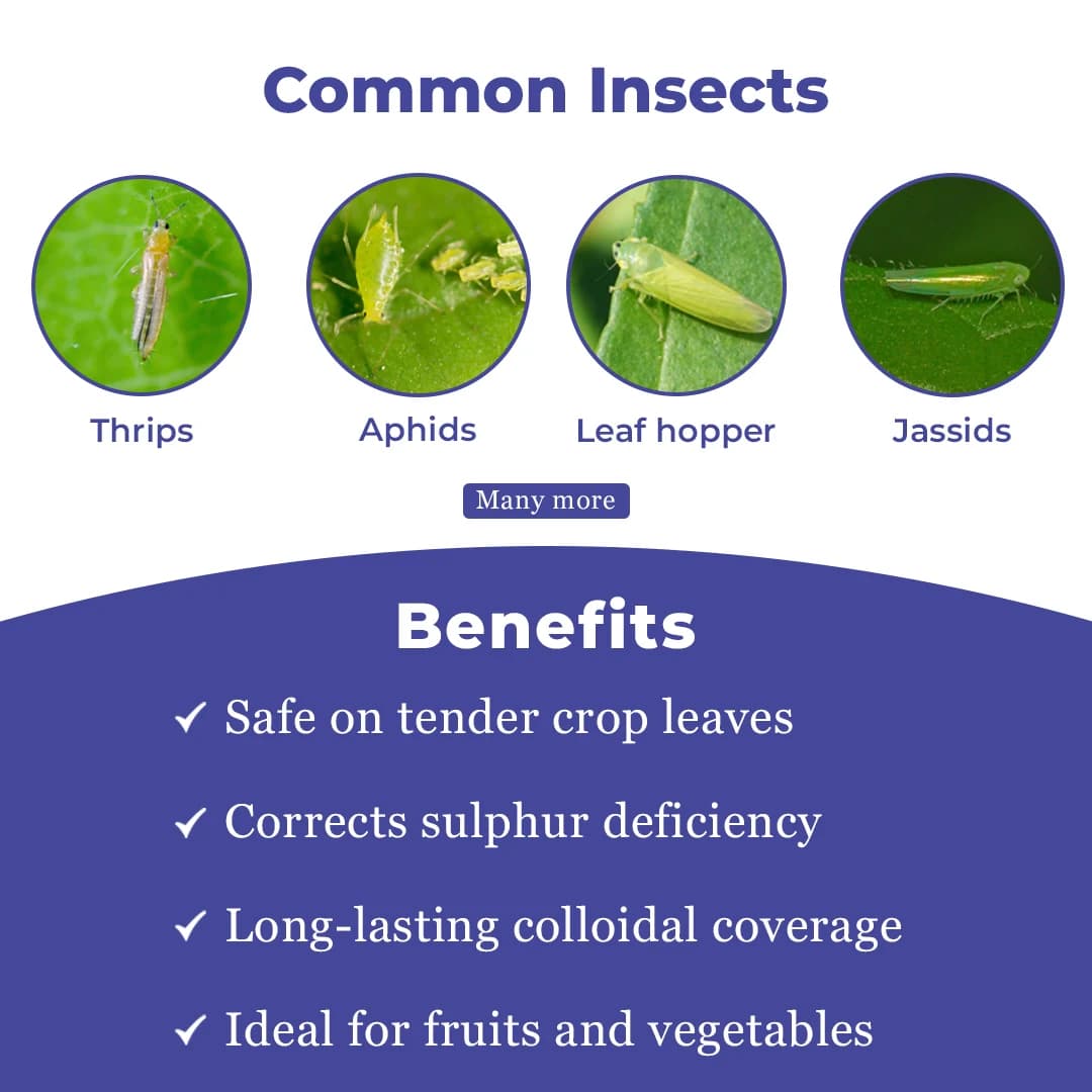Trio Methoxm 25 Insecticide - Image 3