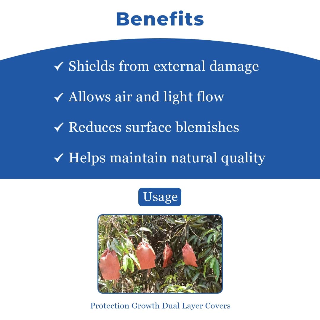 Radhe Mango Protection Bag - Image 4