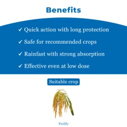SML Imara Fipronil 0.6% + Sulphur 70% + Zinc 13% WG Systemic and Contact Insecticide 4