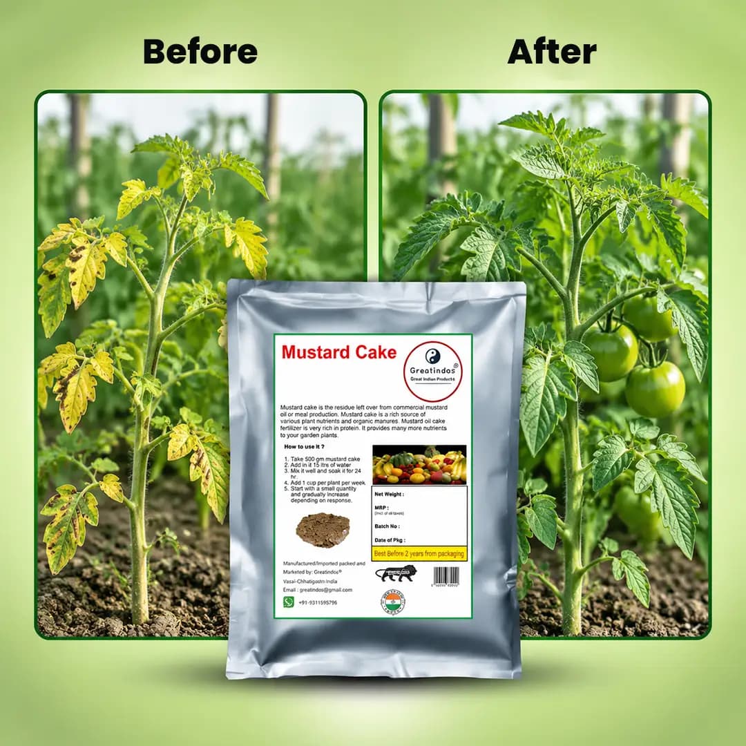 Greatindos Grade A Premium Quality 100% Organic Mustard Cake, Widely Used As a Fertilizer For Flowering and Vegetable Plants - Image 2