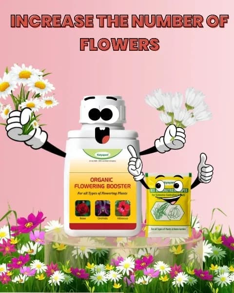 Katyayani Flowering Fertilizer Booster for All Flowering Plants Roses, Orchids, Hibiscus, Jasmine, etc with Mix Micro Nutrient Super for Home Garden - Image 2