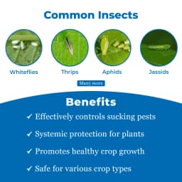 Katyayani Imd 178 Imidacloprid 17.8% SL for All Plants & Home Garden, Quick Action Insecticide. 3