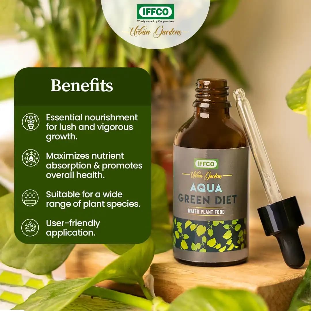 IFFCO Urban Garden Aqua Green Diet Liquid Fertilizer, For Water Plant Food, Boost Growth For Lucky Bamboo, Money Plant, Pothos, And More - Image 6