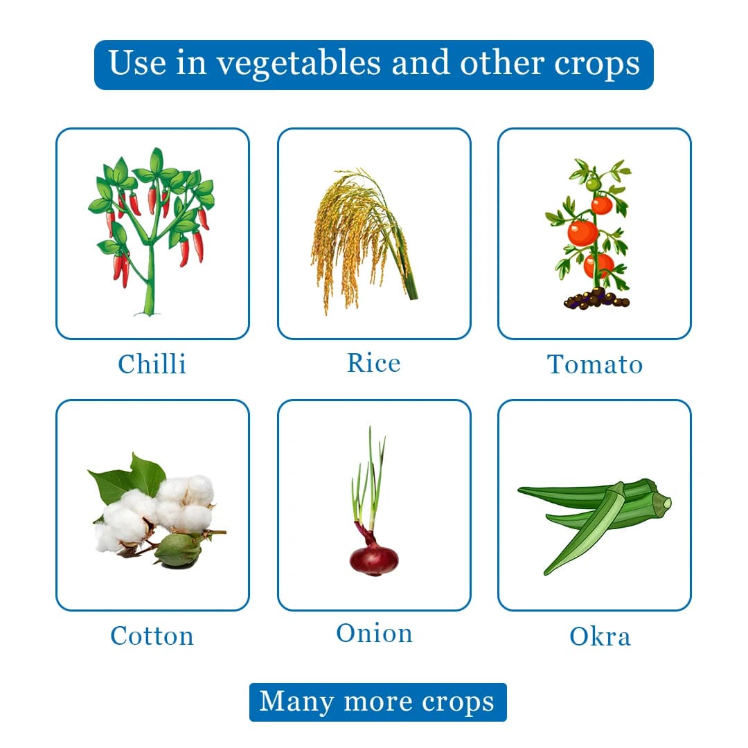 IIL Xplode Insecticide - Image 4