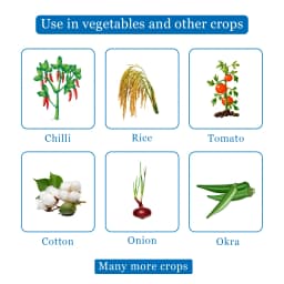 आईआईएल एक्सप्लोड एमामेक्टिन बेंजोएट 5% एसजी, लार्वा, थ्रिप्स, फल और तना छेदक के प्रभावी नियंत्रण के लिए 4