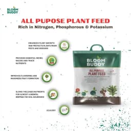 BloomBuddy All Purpose Plant Feed Granules, Organic Slow-Release Fertilizer with NPK & Micronutrients 10