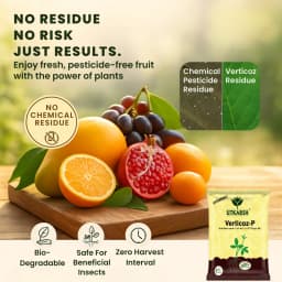 Utkarsh Verticoz- P (Verticillium Lecanii 1.15% W.P. ) Bio Pesticides, Controls Wide Range of Pests 4