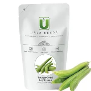 Urja Light Green US 301 F1 Hybrid Sponge Gourd Seeds, Gilki Ke Beej, Galka Na Beej, Light Green in Color - Image 1