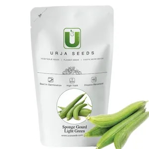 Urja Light Green US 301 F1 Hybrid Sponge Gourd Seeds, Gilki Ke Beej, Galka Na Beej, Light Green in Color