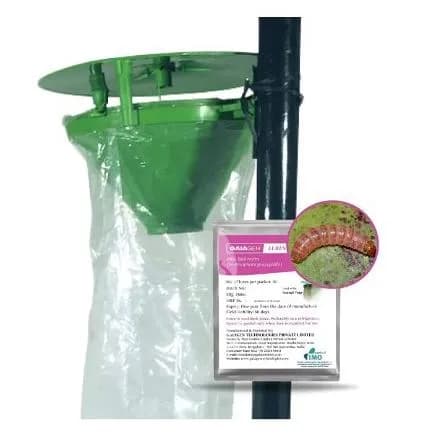 Gaiagen Pheromone Lure for Pink Bollworm (Pectinophora Gossypiella) And Insect Funnel Trap, IMO Certified. - Image 6