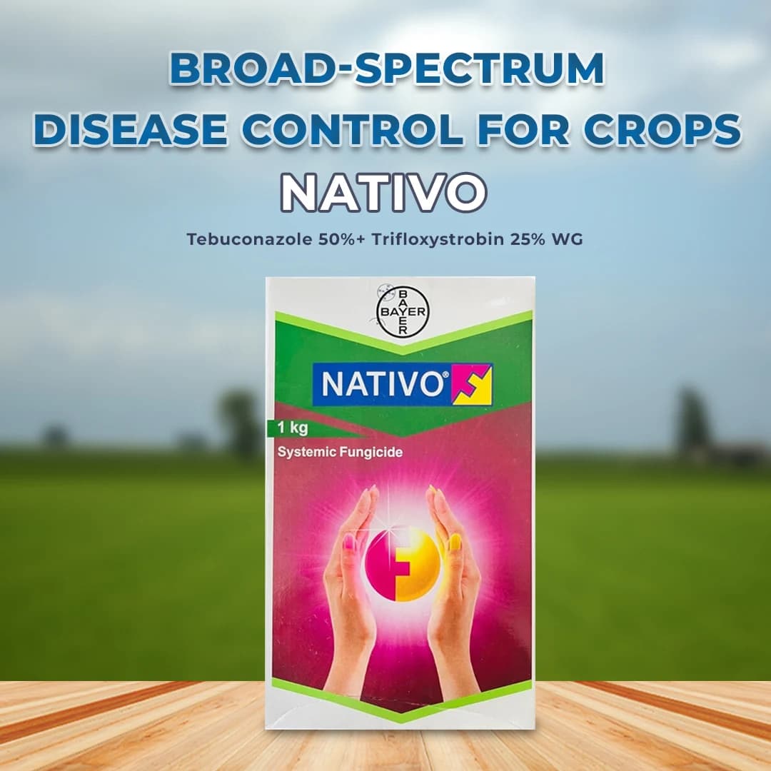 Bayer Nativo Tebuconazole 50% + Trifloxystrobin 25% WG (75 WG) Fungicide, Used To Control Various Fungal Diseases On Different Crops - Image 2