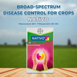 Bayer Nativo Tebuconazole 50% + Trifloxystrobin 25% WG (75 WG) Fungicide, Used To Control Various Fungal Diseases On Different Crops 2