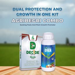 AgriBegri Special Combo (Dhanuka Decide 500 Gm + NCS Spring Ever 1 Ltr) Efficient For Sucking Pests And Plant Growth Promoter 2