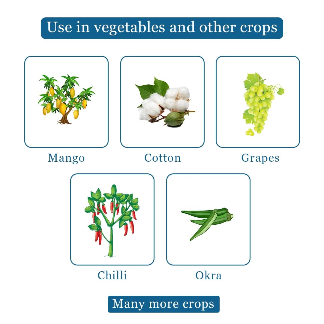 Exylon Pyrithrin Insecticide - Pyriproxyfen 10% + Bifenthrin 10% EC - Image 4
