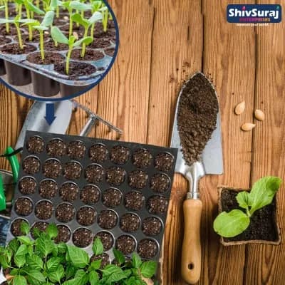 Shivsuraj 126 Cavity Seedling Tray Square Shape Hole Germination Tray, Nursery Tray, For Sowing Seeds - Image 10