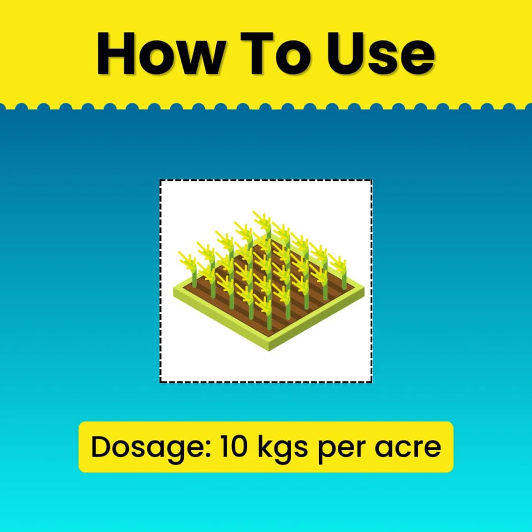 Katyayani Silica Pro Natural Granulated Silica, Organic Fertilizer, Best Solution For Gardening - Image 5