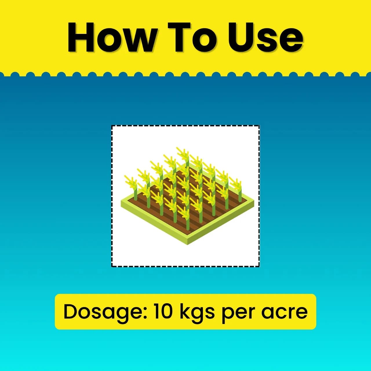 Katyayani Silica Pro Natural Granulated Silica, Organic Fertilizer, Best Solution For Gardening - Image 5