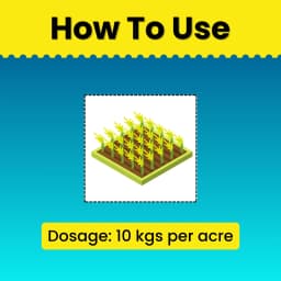 Katyayani Silica Pro Natural Granulated Silica, Organic Fertilizer, Best Solution For Gardening 5