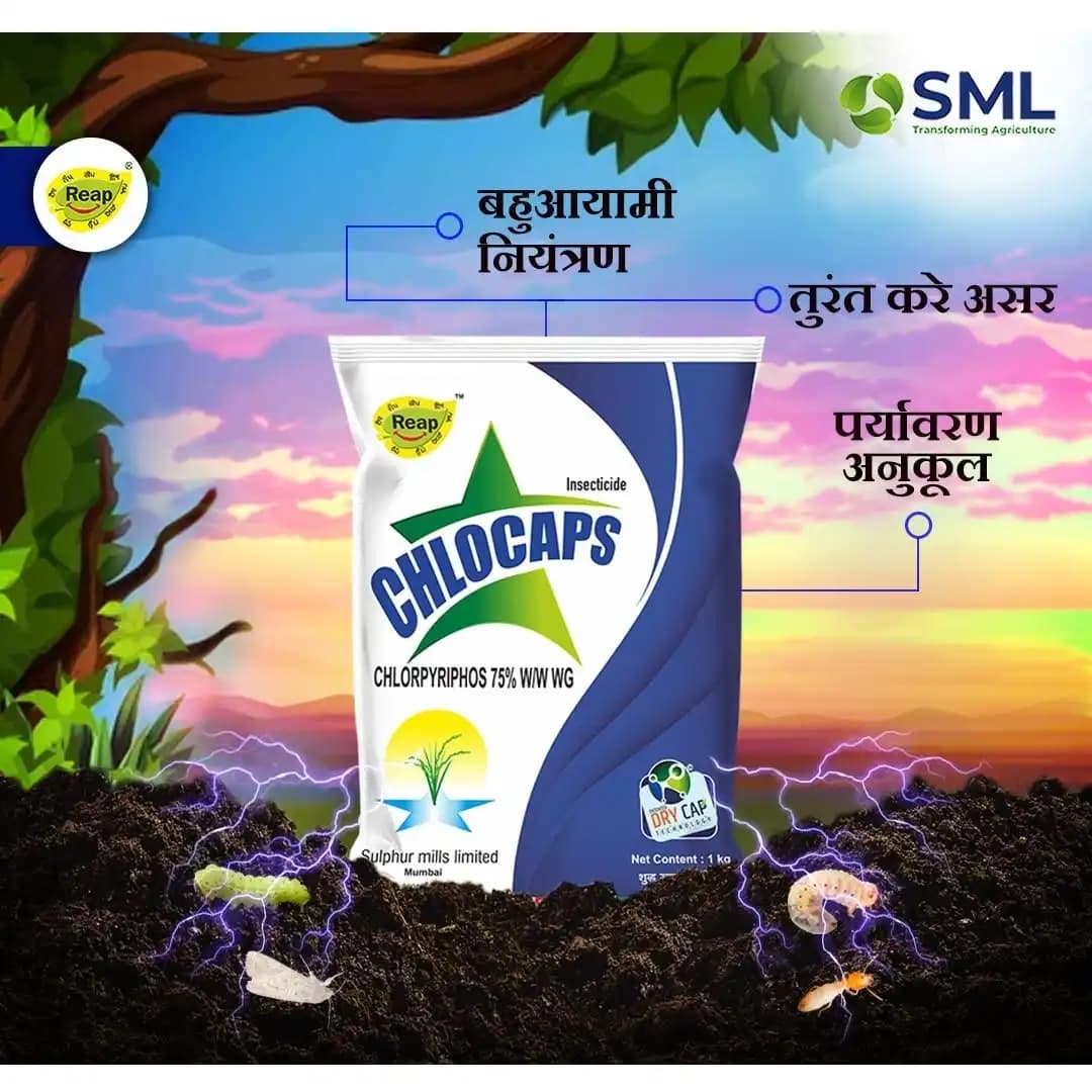 SML Chlocaps Chlorpyrifos 75% WG Insecticide, Broad-Spectrum Pest Control For All Crops - Image 2
