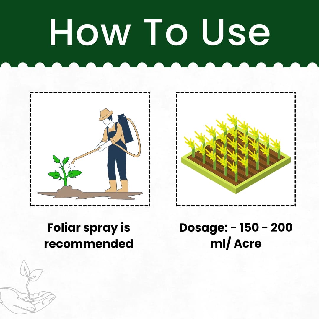 Katyayani K-Indox Indoxacarb 14.5% SC Insecticide, Effective Against Larva - Image 5