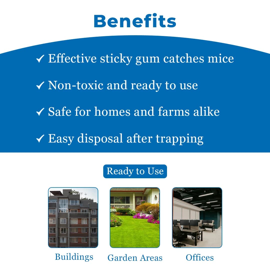 PCI Trubble Gum Mouse Glue Trap, Can Be Used In Houses, Kitchens, Warehouses, Offices - Image 4