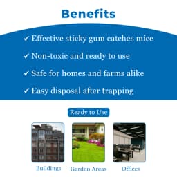 PCI Trubble Gum Mouse Glue Trap, Can Be Used In Houses, Kitchens, Warehouses, Offices 4