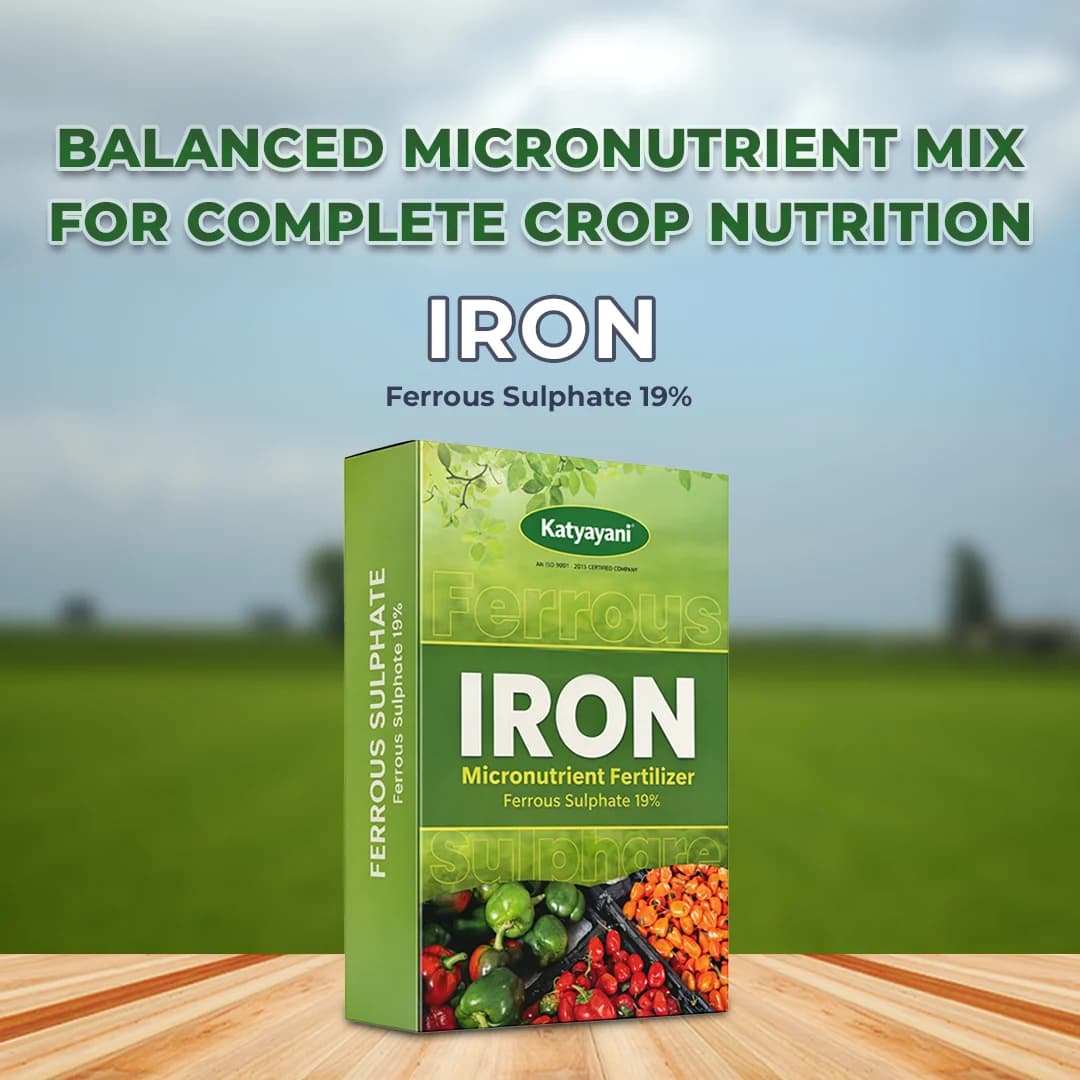 Katyayani Iron Fertilizer - Ferrous Sulphate 19% - Image 2