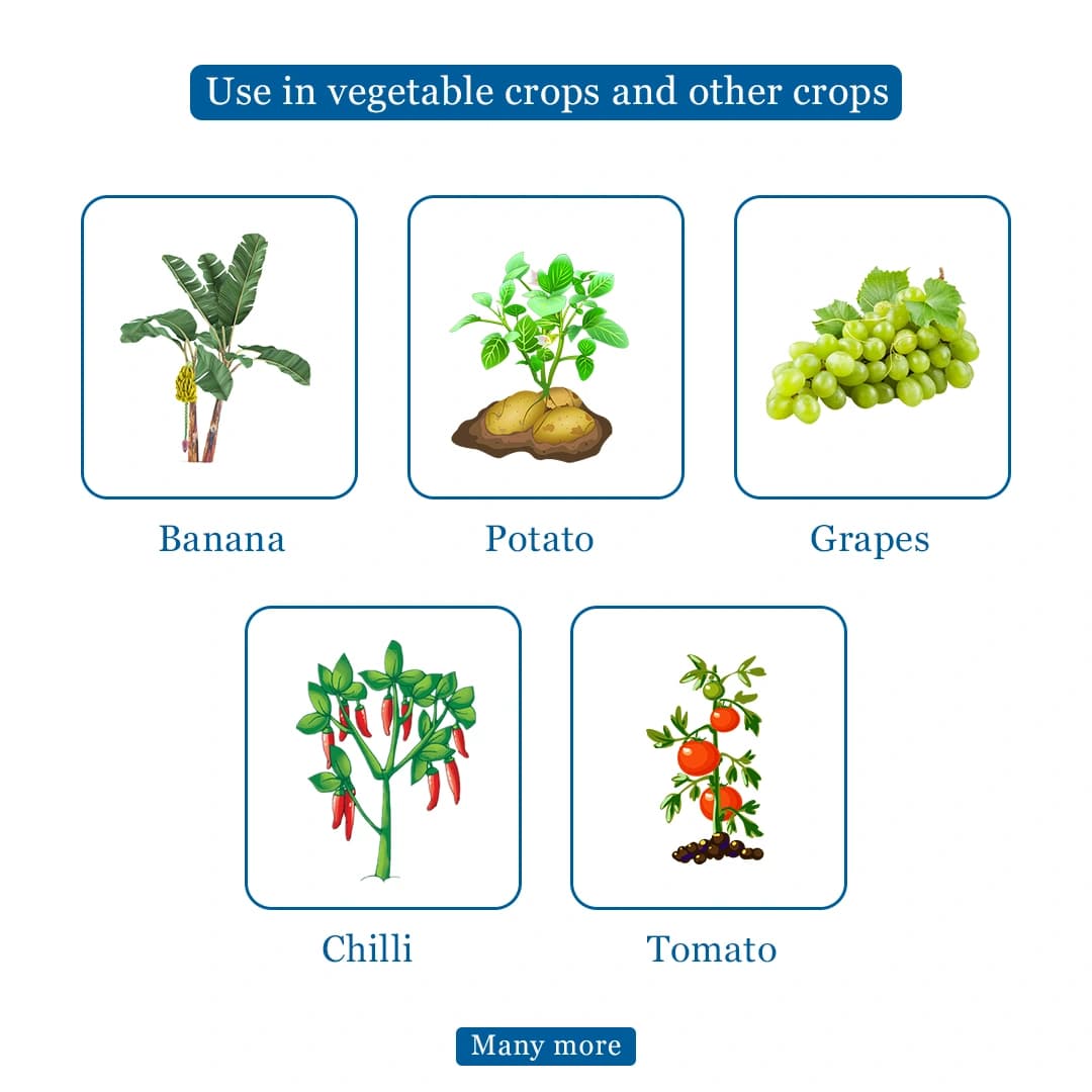 Crystal Blue Copper Fungicide - Image 4