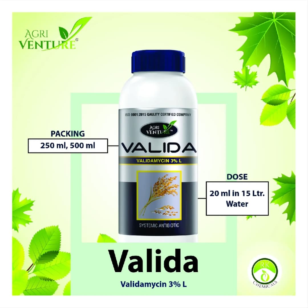 Agriventure Valida (Validamycin 3% Sl) Fungicide, Control The Sheath Blight Disease Of Rice Very Effectively - Image 4